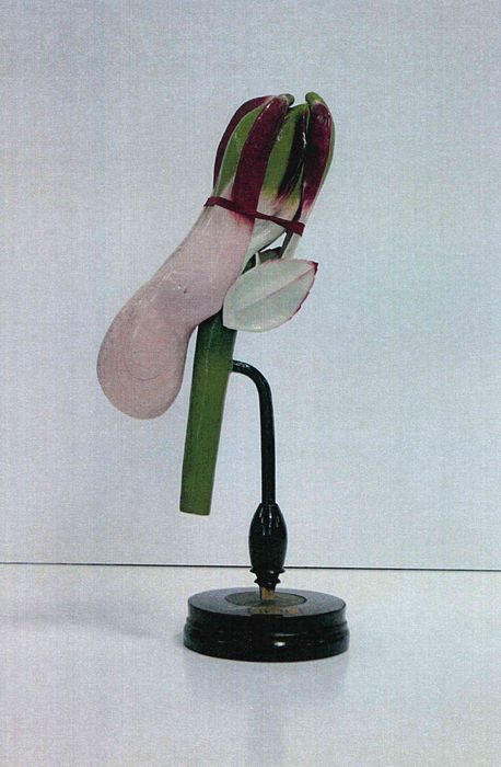 modèle de fleur articulé Brendel : fumeterre - © Ministère de la Culture (France), Direction Régionale des Affaires Culturelles de Bourgogne-Franche-Comté – Tous droits réservés