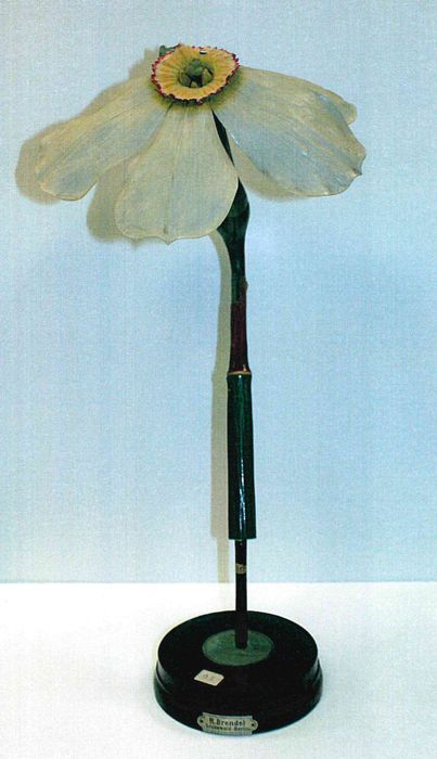 modèle de fleur articulé Brendel : narcisse des poètes - © Ministère de la Culture (France), Direction Régionale des Affaires Culturelles de Bourgogne-Franche-Comté – Tous droits réservés