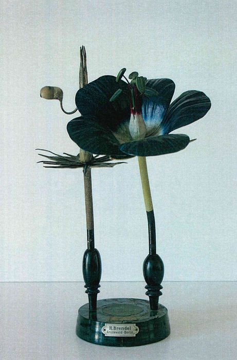 modèle de fleur articulé Brendel : geranium - © Ministère de la Culture (France), Direction Régionale des Affaires Culturelles de Bourgogne-Franche-Comté – Tous droits réservés