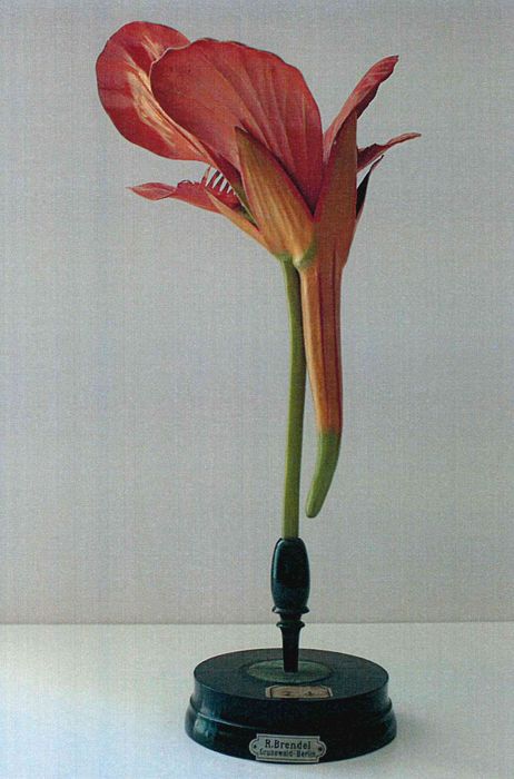 modèle de fleur articulé Brendel : capucine - © Ministère de la Culture (France), Direction Régionale des Affaires Culturelles de Bourgogne-Franche-Comté – Tous droits réservés