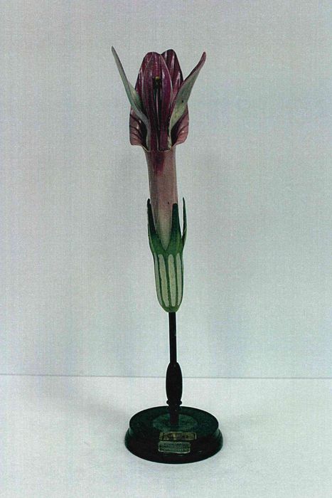 modèle de fleur articulé Brendel : trèfle