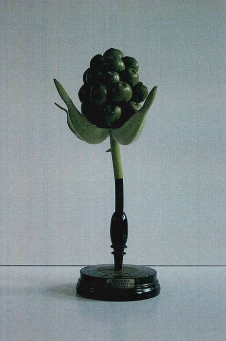 modèle de fleur articulé Brendel : ronce - © Ministère de la Culture (France), Direction Régionale des Affaires Culturelles de Bourgogne-Franche-Comté – Tous droits réservés