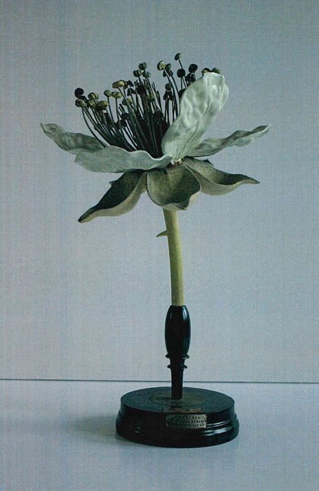 modèle de fleur articulé Brendel : ronce - © Ministère de la Culture (France), Direction Régionale des Affaires Culturelles de Bourgogne-Franche-Comté – Tous droits réservés