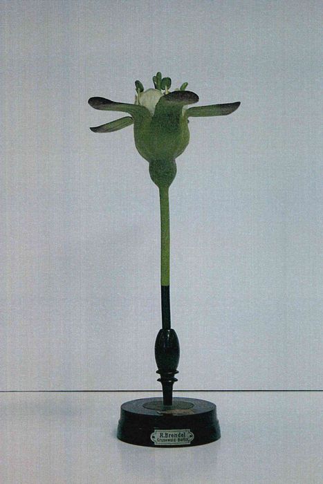 modèle de fleur articulé Brendel : groseiller à maquereau - © Ministère de la Culture (France), Direction Régionale des Affaires Culturelles de Bourgogne-Franche-Comté – Tous droits réservés