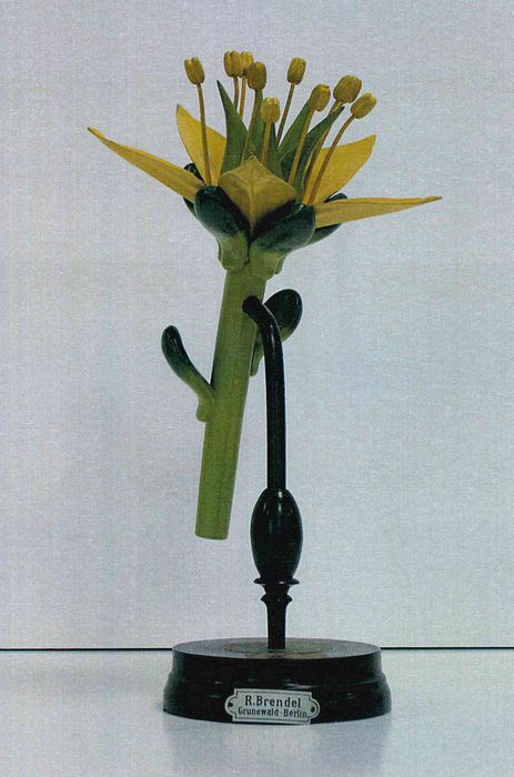modèle de fleur articulé Brendel : orpin âcre - © Ministère de la Culture (France), Direction Régionale des Affaires Culturelles de Bourgogne-Franche-Comté – Tous droits réservés