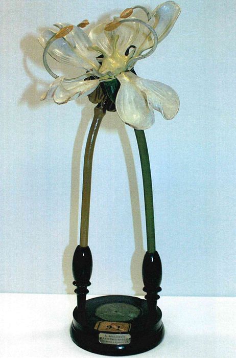 modèle de fleur articulé Brendel : grande cigüe - © Ministère de la Culture (France), Direction Régionale des Affaires Culturelles de Bourgogne-Franche-Comté – Tous droits réservés