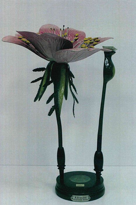 modèle de fleur articulé Brendel : églantier - © Ministère de la Culture (France), Direction Régionale des Affaires Culturelles de Bourgogne-Franche-Comté – Tous droits réservés