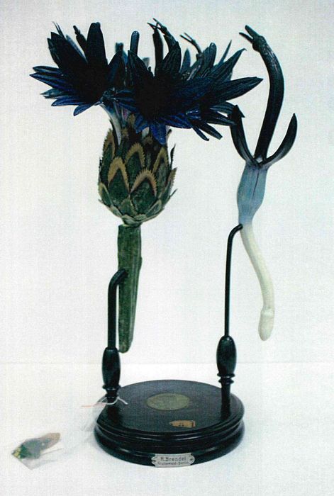 modèle de fleur articulé Brendel : bleuet - © Ministère de la Culture (France), Direction Régionale des Affaires Culturelles de Bourgogne-Franche-Comté – Tous droits réservés