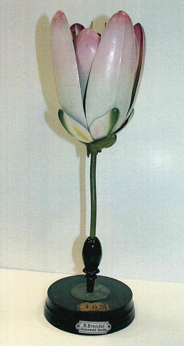 modèle de fleur articulé Brendel : callune - © Ministère de la Culture (France), Direction Régionale des Affaires Culturelles de Bourgogne-Franche-Comté – Tous droits réservés