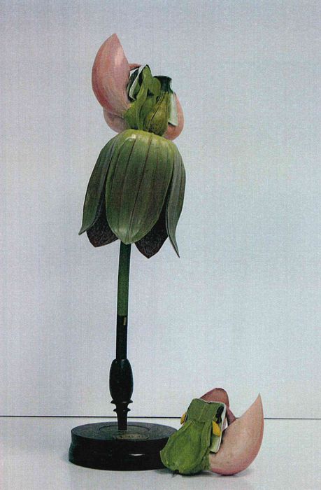 modèle de fleur articulé Brendel : asclépias cornue (ou herbe aux perruches) - © Ministère de la Culture (France), Direction Régionale des Affaires Culturelles de Bourgogne-Franche-Comté – Tous droits réservés