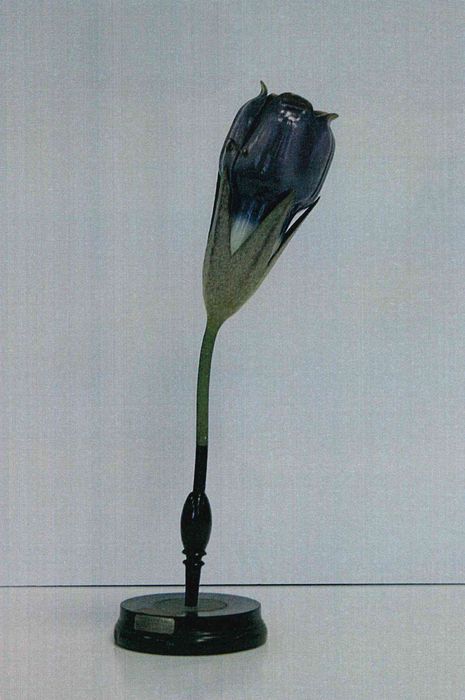 modèle de fleur articulé Brendel : consoude officinale