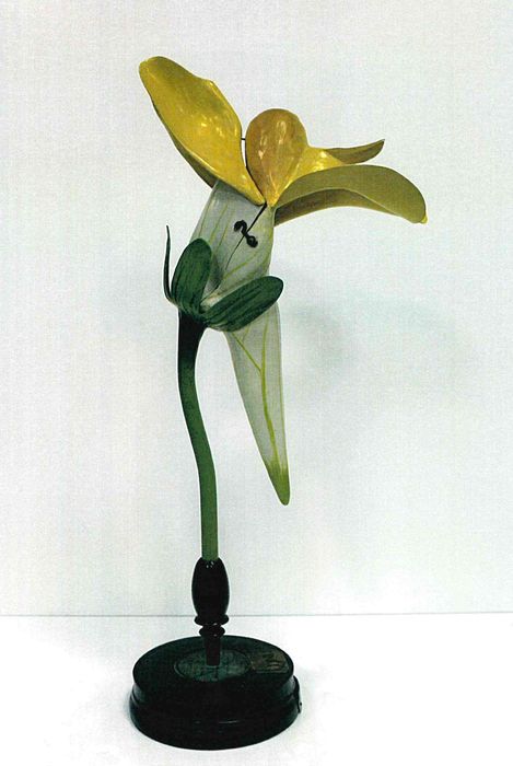 modèle de fleur articulé Brendel : linaire commune - © Ministère de la Culture (France), Direction Régionale des Affaires Culturelles de Bourgogne-Franche-Comté – Tous droits réservés