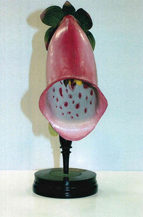 modèle de fleur articulé Brendel : digitale pourpre - © Ministère de la Culture (France), Direction Régionale des Affaires Culturelles de Bourgogne-Franche-Comté – Tous droits réservés