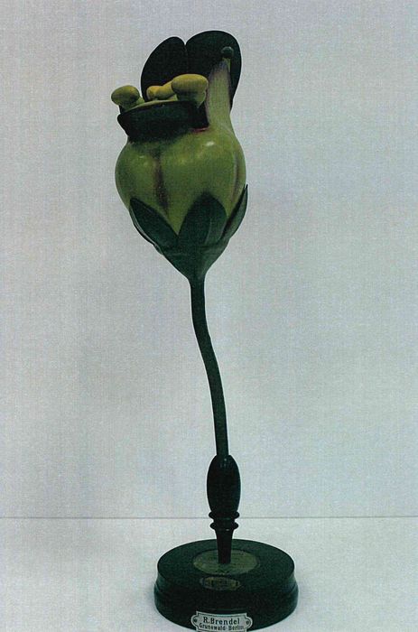 modèle de fleur articulé Brendel : scrofulaire noueuse - © Ministère de la Culture (France), Direction Régionale des Affaires Culturelles de Bourgogne-Franche-Comté – Tous droits réservés