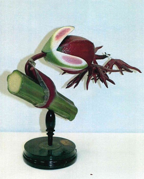 modèle de fleur articulé Brendel : petite oseille - © Ministère de la Culture (France), Direction Régionale des Affaires Culturelles de Bourgogne-Franche-Comté – Tous droits réservés