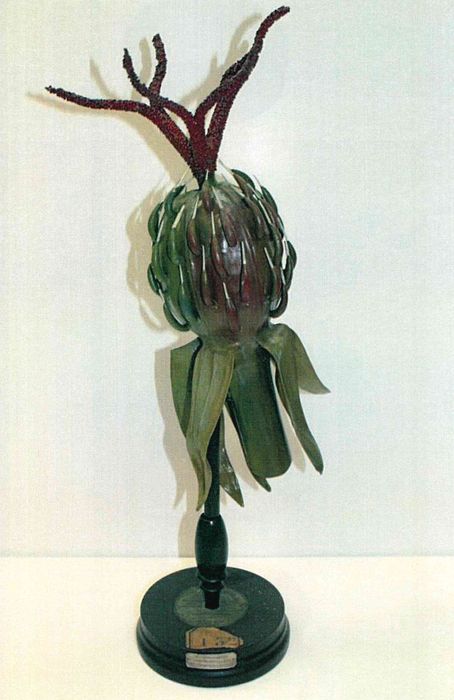 modèle de fleur articulé Brendel : ricin commun - © Ministère de la Culture (France), Direction Régionale des Affaires Culturelles de Bourgogne-Franche-Comté – Tous droits réservés