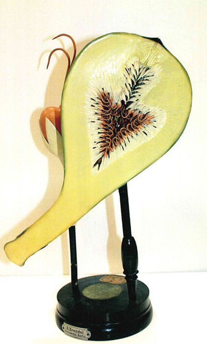 modèle de fleur articulé Brendel : ficus - © Ministère de la Culture (France), Direction Régionale des Affaires Culturelles de Bourgogne-Franche-Comté – Tous droits réservés