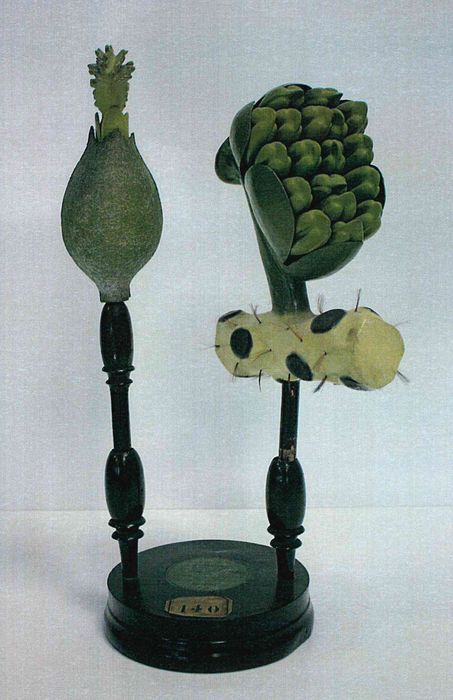 modèle de fleur articulé Brendel : noyer commun - © Ministère de la Culture (France), Direction Régionale des Affaires Culturelles de Bourgogne-Franche-Comté – Tous droits réservés