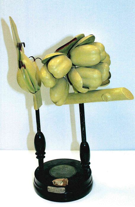 modèle de fleur articulé Brendel : bouleau - © Ministère de la Culture (France), Direction Régionale des Affaires Culturelles de Bourgogne-Franche-Comté – Tous droits réservés
