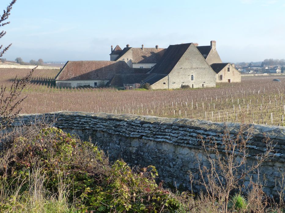 vue générale du château dans son environnement depuis le Sud-Ouest 