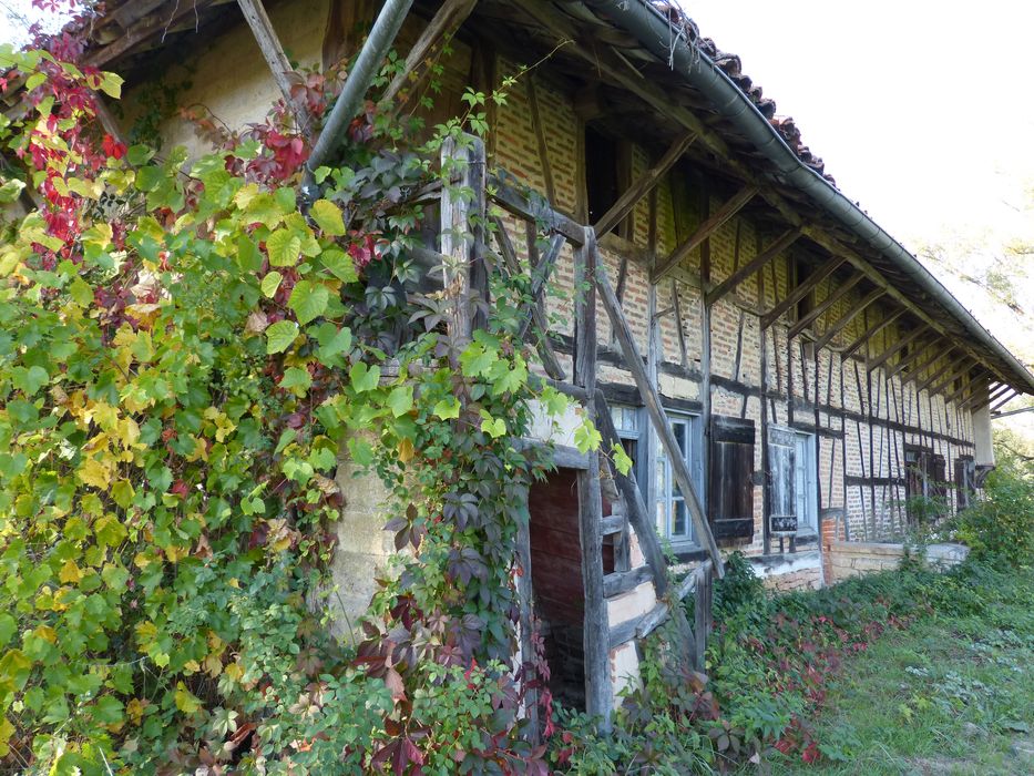 habitation, façade ouest