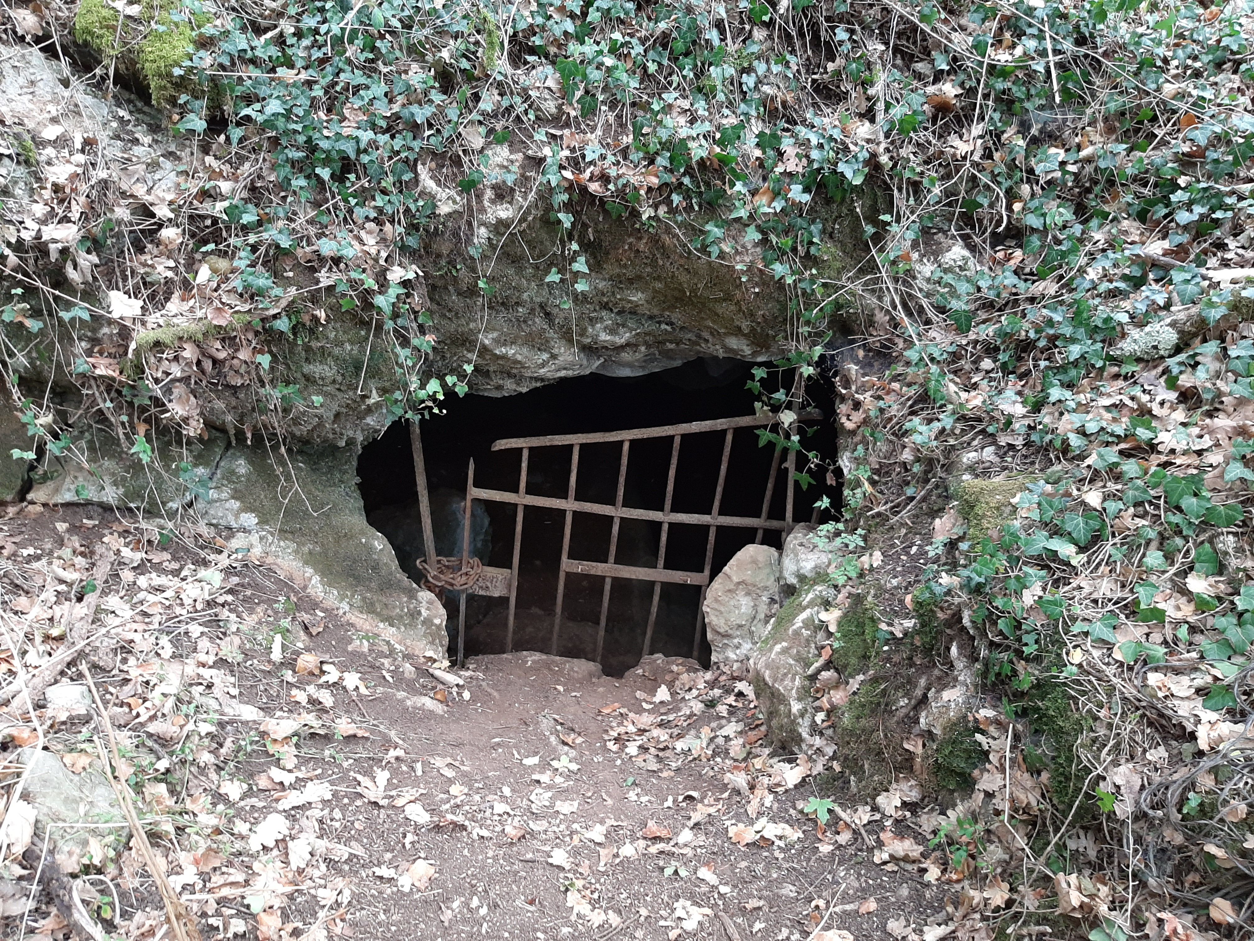 entrée de la grotte