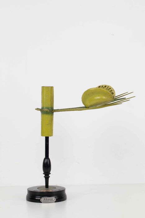modèle de fleur articulé Brendel : aldrovanda - © Ministère de la Culture (France), Direction Régionale des Affaires Culturelles de Bourgogne-Franche-Comté – Tous droits réservés