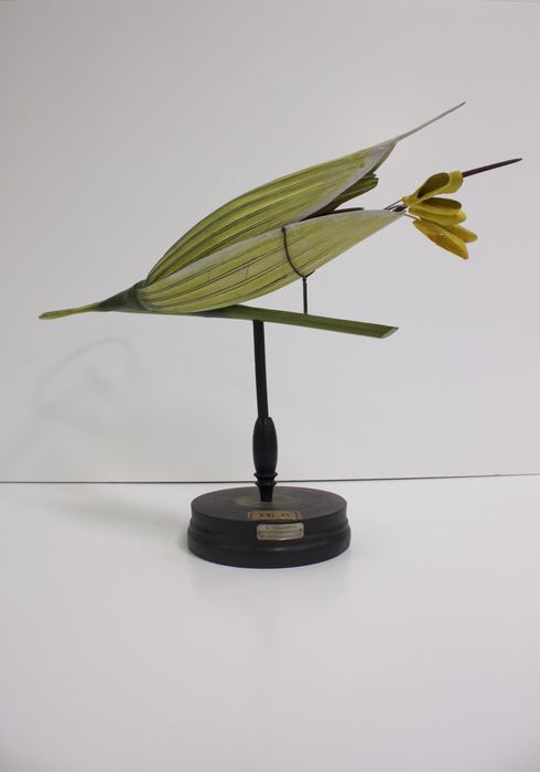 modèle de fleur articulé Brendel : avoine cultivée - © Ministère de la Culture (France), Direction Régionale des Affaires Culturelles de Bourgogne-Franche-Comté – Tous droits réservés