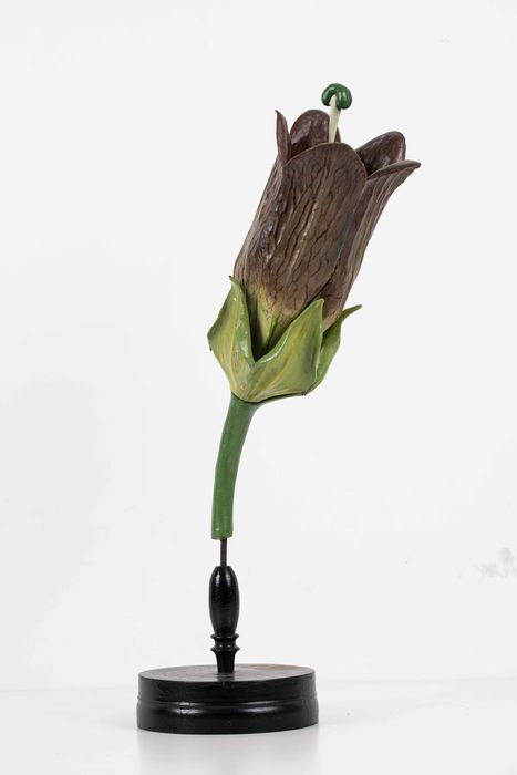 modèle de fleur articulé Brendel : belladone - © Ministère de la Culture (France), Direction Régionale des Affaires Culturelles de Bourgogne-Franche-Comté – Tous droits réservés 