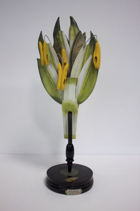 modèle de fleur articulé Brendel : blé - © Ministère de la Culture (France), Direction Régionale des Affaires Culturelles de Bourgogne-Franche-Comté – Tous droits réservés