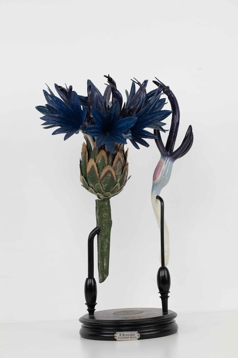 modèle de fleur articulé Brendel : bleuet - © Ministère de la Culture (France), Direction Régionale des Affaires Culturelles de Bourgogne-Franche-Comté – Tous droits réservés 
