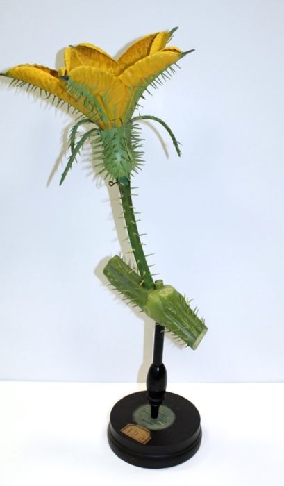 modèle de fleur articulé Brendel : concombre - © Ministère de la Culture (France), Direction Régionale des Affaires Culturelles de Bourgogne-Franche-Comté – Tous droits réservés