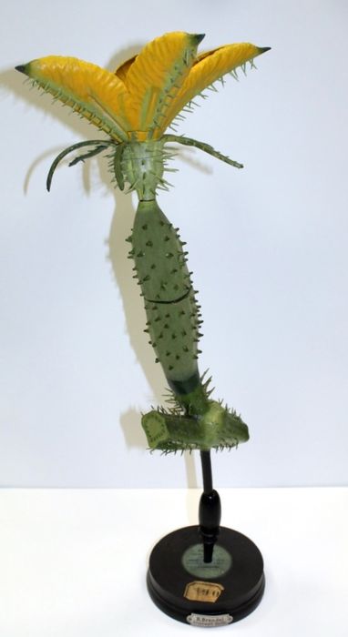 modèle de fleur articulé Brendel : concombre