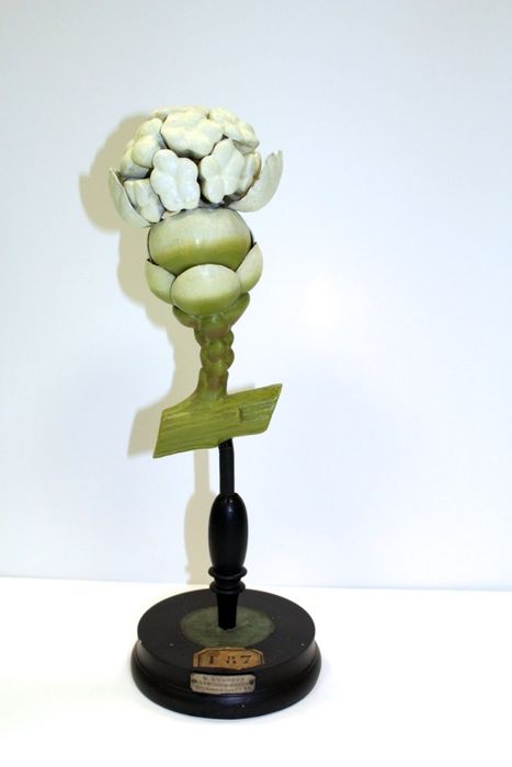 modèle de fleur articulé Brendel : if commun - © Ministère de la Culture (France), Direction Régionale des Affaires Culturelles de Bourgogne-Franche-Comté – Tous droits réservés