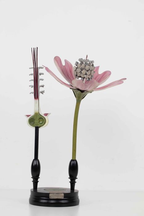 modèle de fleur articulé Brendel : mauve