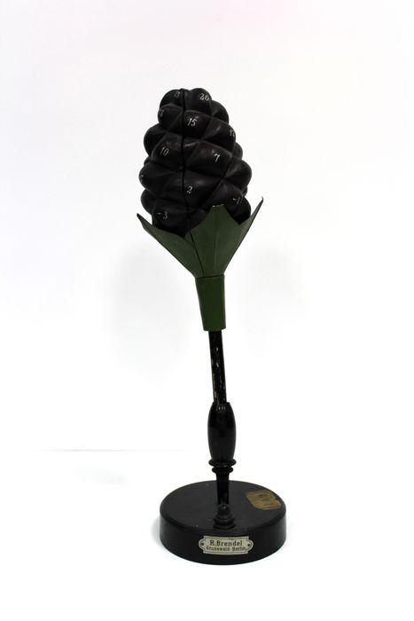 modèle de fleur articulé Brendel : mûrier noir - © Ministère de la Culture (France), Direction Régionale des Affaires Culturelles de Bourgogne-Franche-Comté – Tous droits réservés