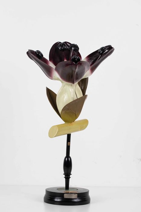 modèle de fleur articulé Brendel : sanguisorbe - © Ministère de la Culture (France), Direction Régionale des Affaires Culturelles de Bourgogne-Franche-Comté – Tous droits réservés 