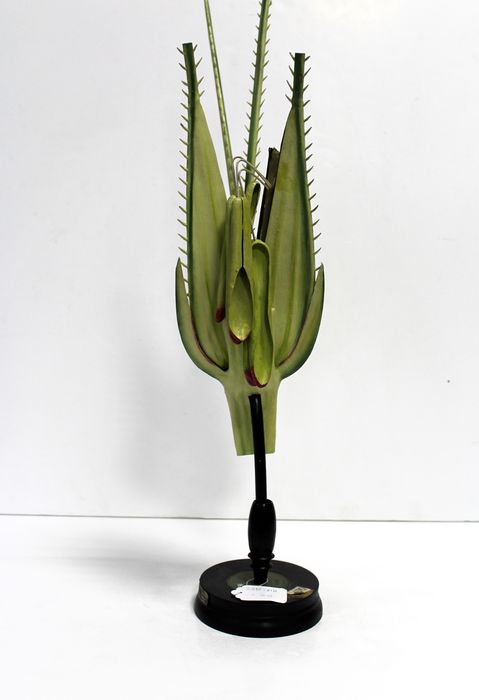 modèle de fleur articulé Brendel : seigle - © Ministère de la Culture (France), Direction Régionale des Affaires Culturelles de Bourgogne-Franche-Comté – Tous droits réservés