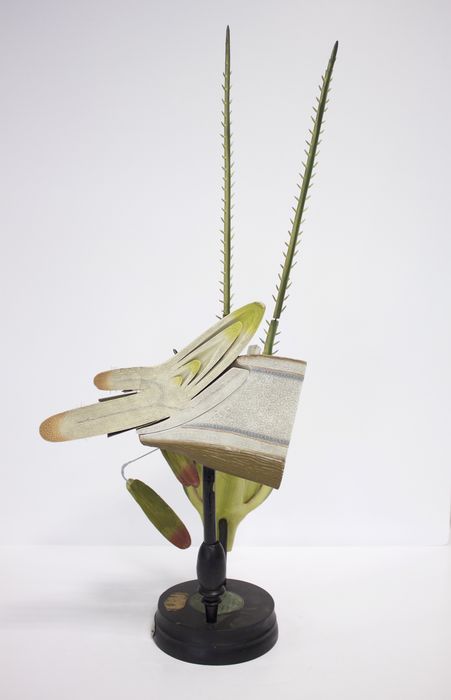 modèle de fleur articulé Brendel : seigle - © Ministère de la Culture (France), Direction Régionale des Affaires Culturelles de Bourgogne-Franche-Comté – Tous droits réservés