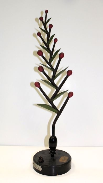 modèle de fleur articulé Brendel : modèle d’inflorescence - © Ministère de la Culture (France), Direction Régionale des Affaires Culturelles de Bourgogne-Franche-Comté – Tous droits réservés
