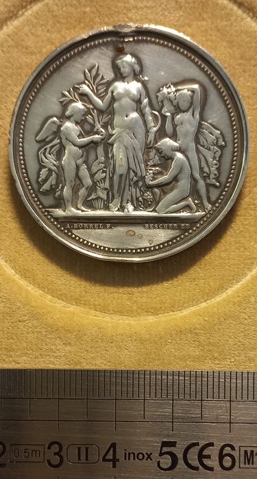 médaille (recto) - © Ministère de la Culture (France), Direction Régionale des Affaires Culturelles de Bourgogne-Franche-Comté – Tous droits réservés