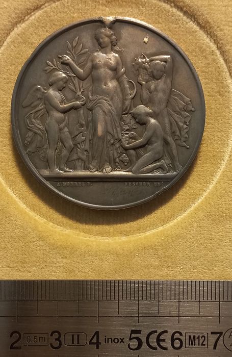 médaille (recto) - © Ministère de la Culture (France), Direction Régionale des Affaires Culturelles de Bourgogne-Franche-Comté – Tous droits réservés