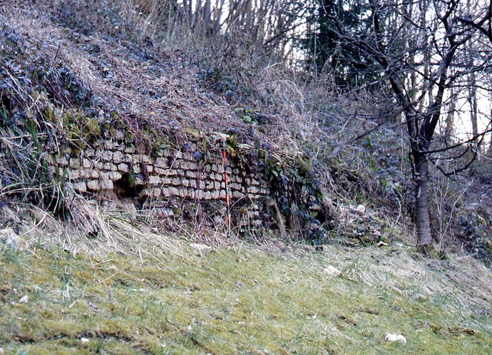 tronçon n°4, vestiges dans la propriété des Robert 