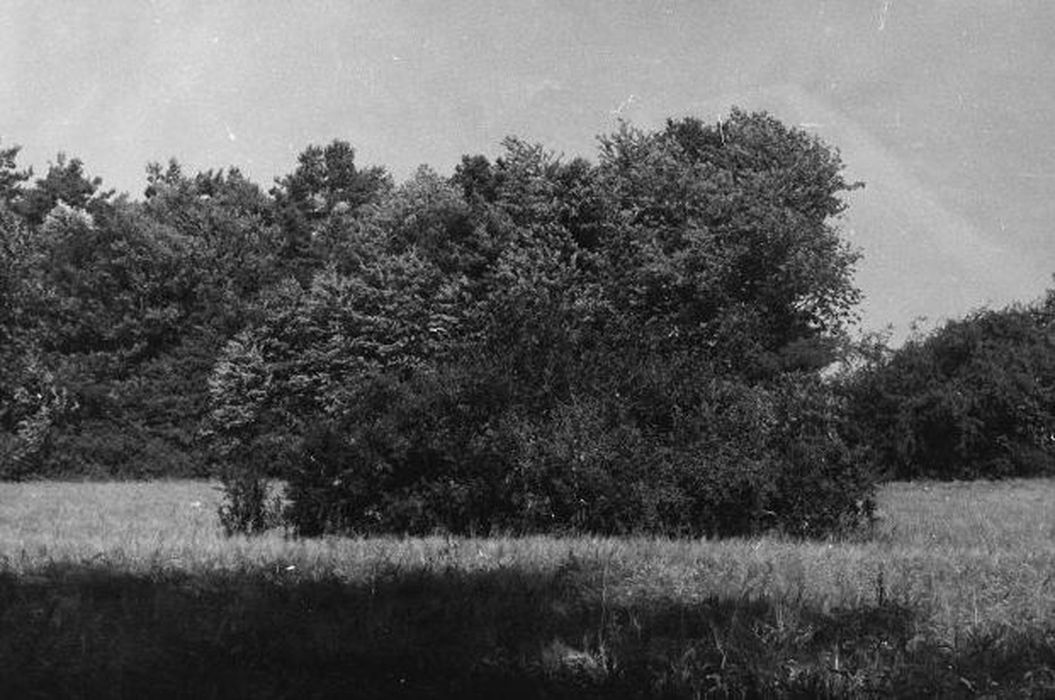 vue générale du site