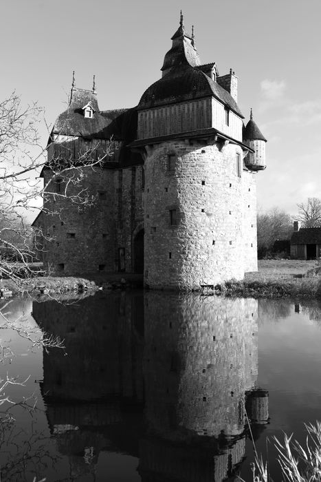 vue générale du château dans son environnement depuis le Sud-Ouest