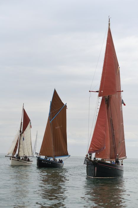 bateau : coquillier dit François-Monique