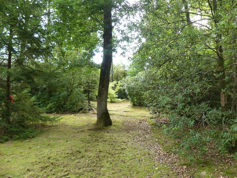 parc, vue partielle