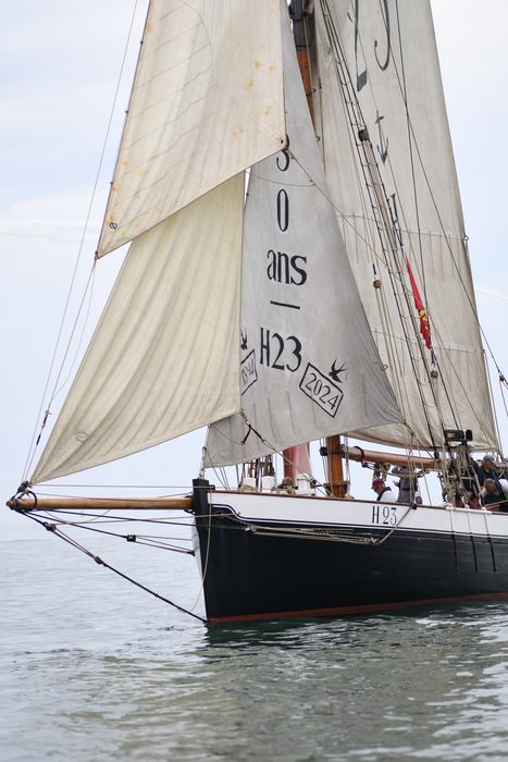 bateau de service, bateau pilote (cotre H 23) dit Marie Fernand