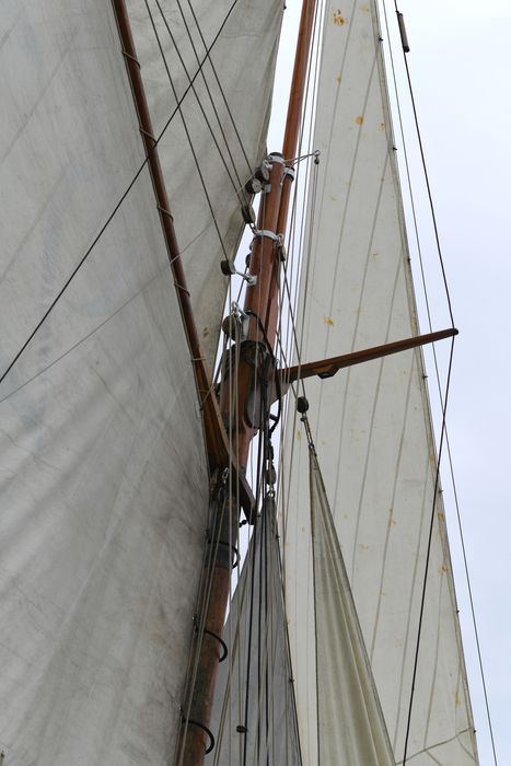 bateau de service, bateau pilote (cotre H 23) dit Marie Fernand