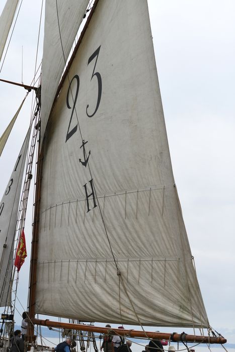 bateau de service, bateau pilote (cotre H 23) dit Marie Fernand